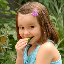 Top 10 Zucchini Fun Facts